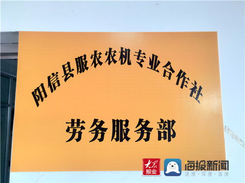 合作社里的新引擎 陽信流坡塢鎮組建勞務服務部，鋪就家門口的就業路